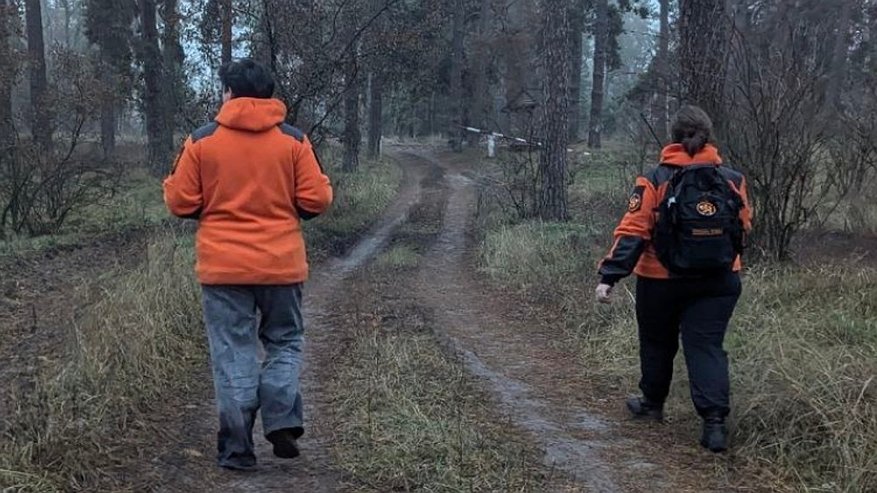 Главная картинка новости: Пропавшую 71-летнюю женщину нашли живой после ночи в лесу под Бобровом
