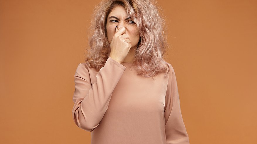 Главная картинка новости: Чтобы гости чувствовали себя желанными: убираем затхлый запах