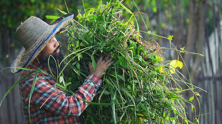 Главная картинка новости: Готовим компост к весне: ускоряем перегнивание органики