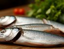 Полезная малосольная скумбрия: готовим дома за сутки