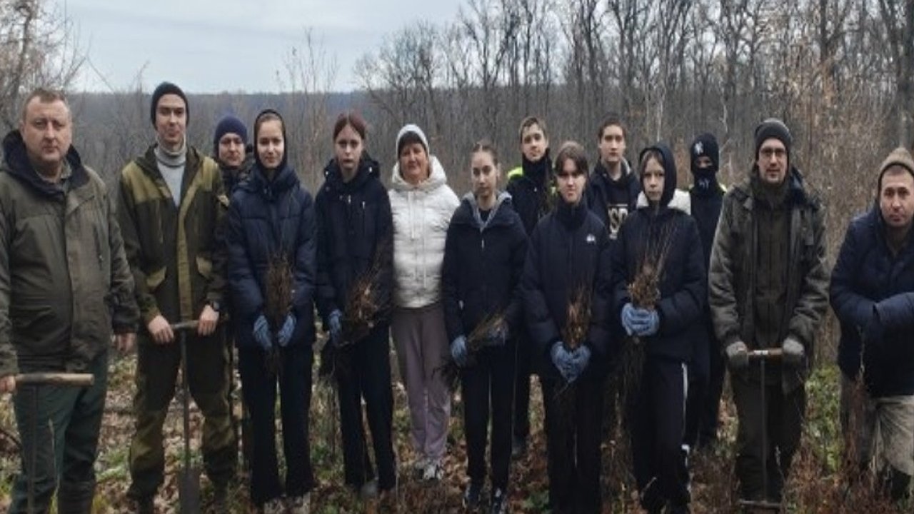 Главная картинка новости: В Бутурлиновском районе высадили более двух тысяч дубов в рамках акции «Сохраним лес»