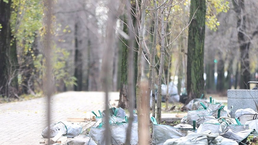 Главная картинка новости: Завершение сезона озеленения в Воронеже отметили посадкой двадцати деревьев