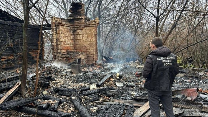 Главная картинка новости: В Панинском районе следователи выясняют причины гибли двух человек при пожаре