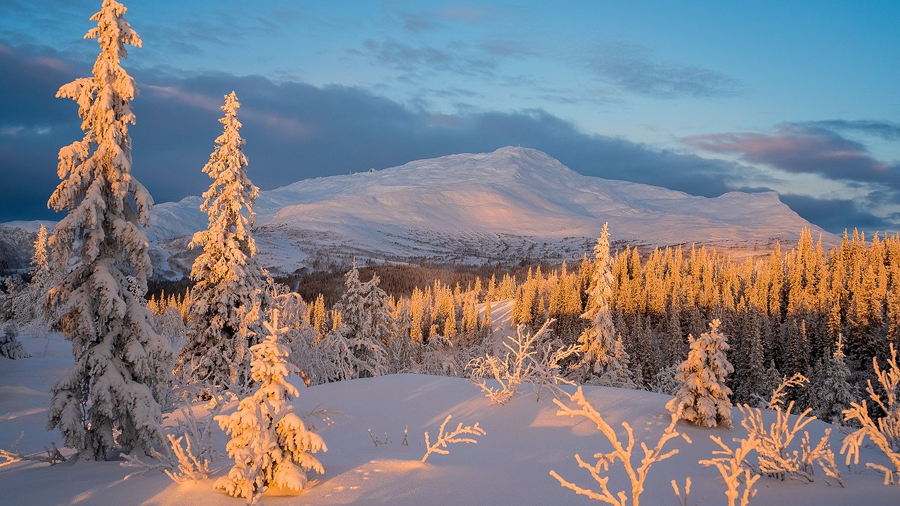 Главная картинка новости: Морозов придется ждать долго: синоптики назвали дату прихода настоящей зимы