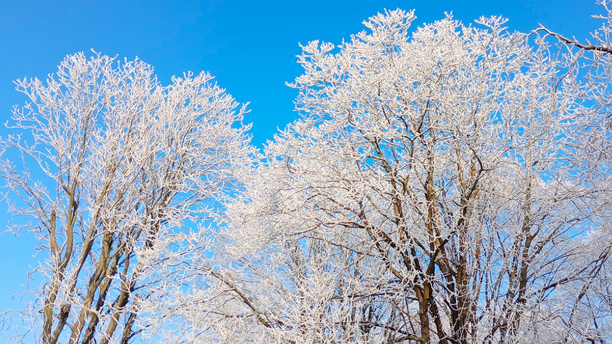 Главная картинка новости: Сюрприз к Новому Году 2026: синоптики обещают аномально теплую погоду - прогноз