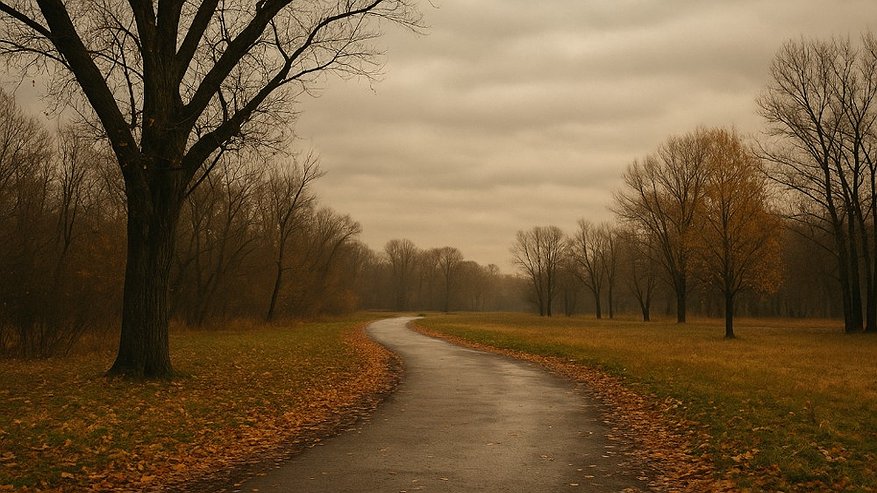 Главная картинка новости: В Воронеже 20 ноября ожидается облачный день без осадков