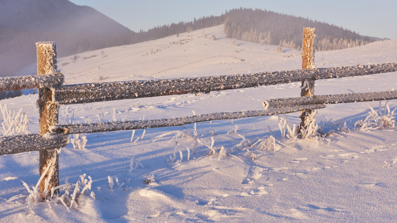 Главная картинка новости: Испытание для метеозависимых на следующей неделе: эксперт объяснил, чем грозит России надвигающийся циклон