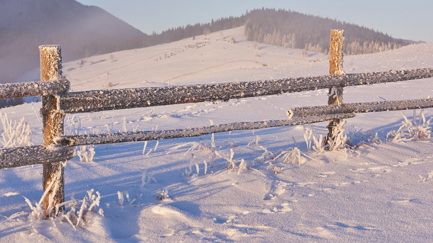 Главная картинка новости: Испытание для метеозависимых на следующей неделе: эксперт объяснил, чем грозит России надвигающийся циклон