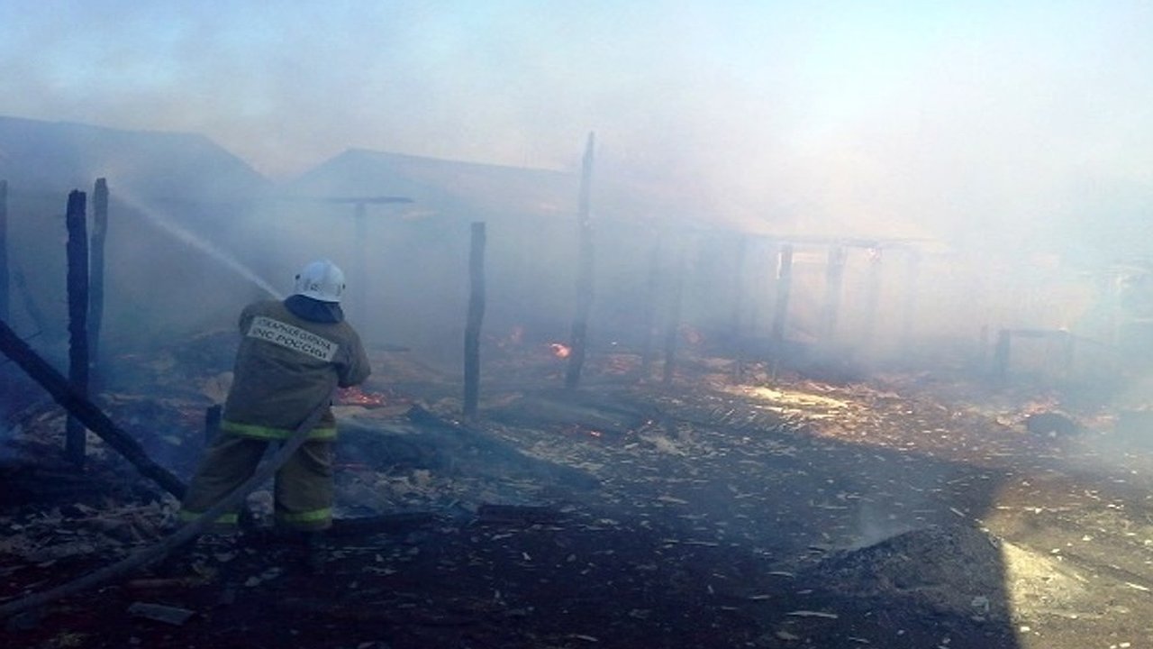 Главная картинка новости: В селе Нижнее Турово Нижнедевицкого района утро началось с пожара в хозпостройке