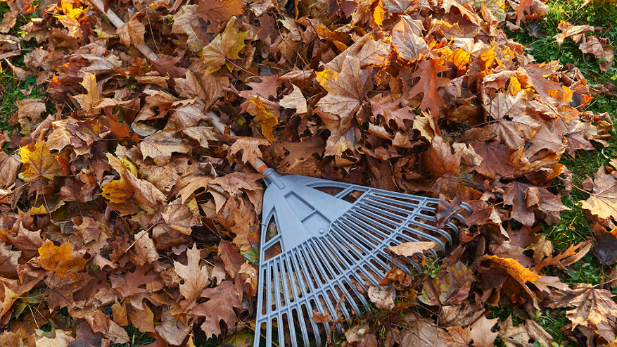 Главная картинка новости: Поздняя осенняя обработка сада: до какого момента можно опрыскивать деревья и какие средства работают в холода