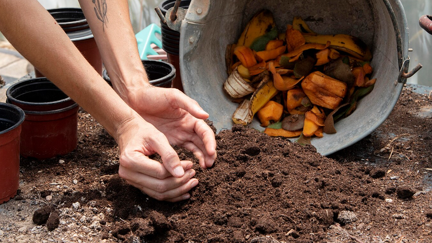 Главная картинка новости: Компост, который съедает кости: как превратить их в черное золото для огорода