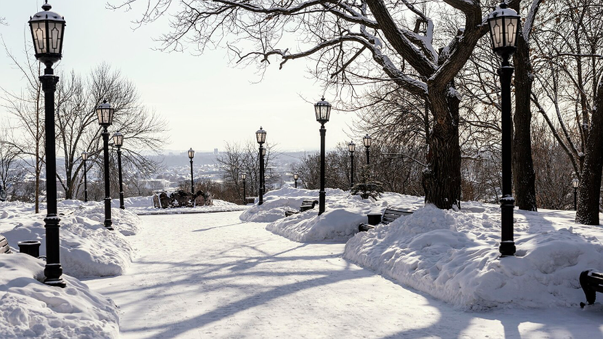 Главная картинка новости: Когда ляжет первый снег, который не растает: синоптики назвали точную дату прихода зимы