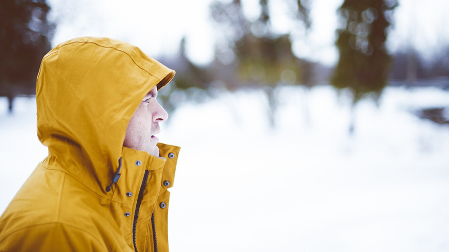 Главная картинка новости: Аномальный холод накроет страну: зима 2025–2026 станет самым настоящим испытанием для россиян