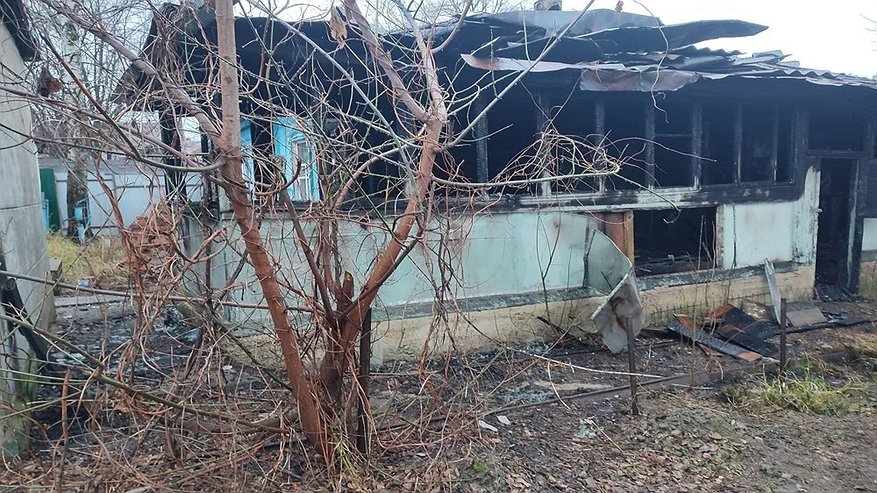 Главная картинка новости: В Нововоронеже полицейские задержали поджигателя частного дома на улице Свободы