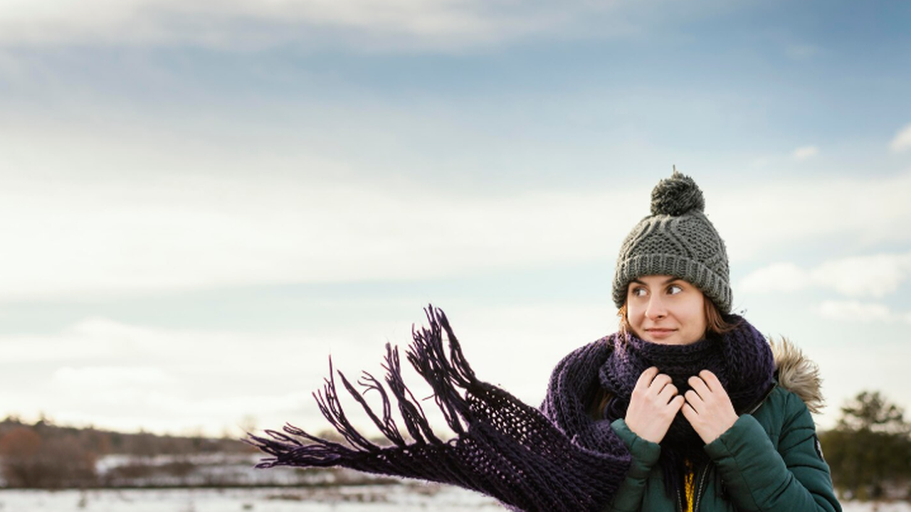 Главная картинка новости: Зима откладывается: метеорологи объясняют, откуда приходит тепло в центральные регионы