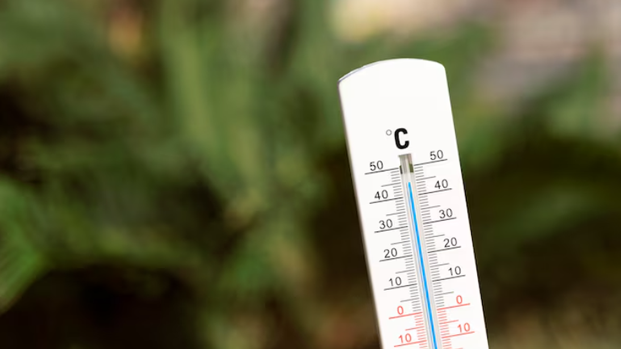 Главная картинка новости: Почему погоду на Новый год нельзя предсказать в октябре? - наш главный синоптик объясняет пределы точности