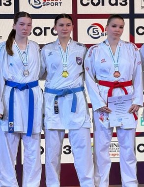 Воронежские каратисты взяли четыре медали на первенстве России в Нижнем Новгороде