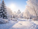 Солнечный и морозный день ожидается в Воронеже 24 декабря