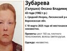 В Воронежской области проходят поиски пропавшей жительницы Лискинского района