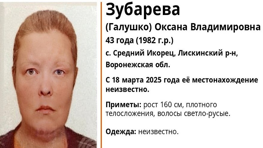 Главная картинка новости: В Воронежской области проходят поиски пропавшей жительницы Лискинского района