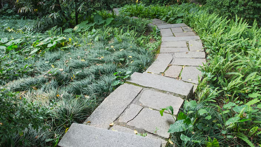 Главная картинка новости: Спокойствие за родителей и детей на даче: как я сделал абсолютно безопасные дорожки