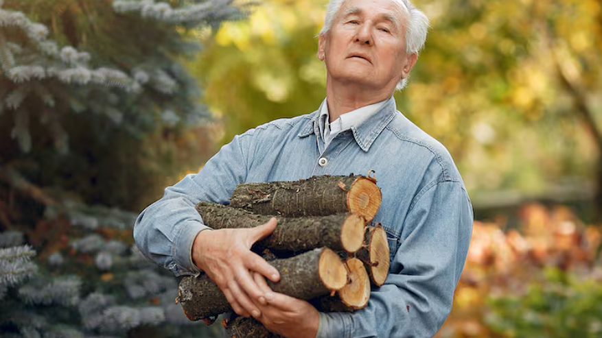 Главная картинка новости: Как продлить жизнь дерева на 50 лет: дедовский способ, который все забыли