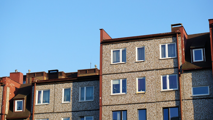 Главная картинка новости: Воронеж — в десятке городов России по высоте новогодних ёлок. Как это стало возможным?