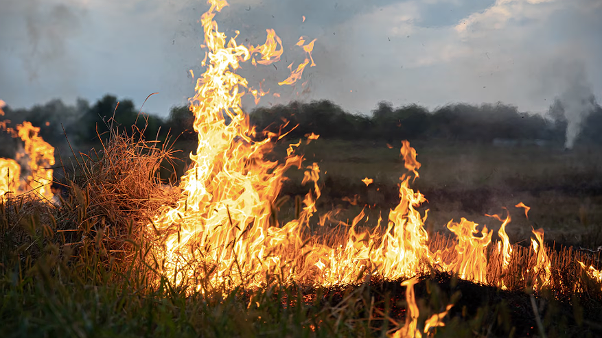 Главная картинка новости: Ночью в Воронеже пожарные потушили огонь в квартире на улице Гайдара: спасли женщину
