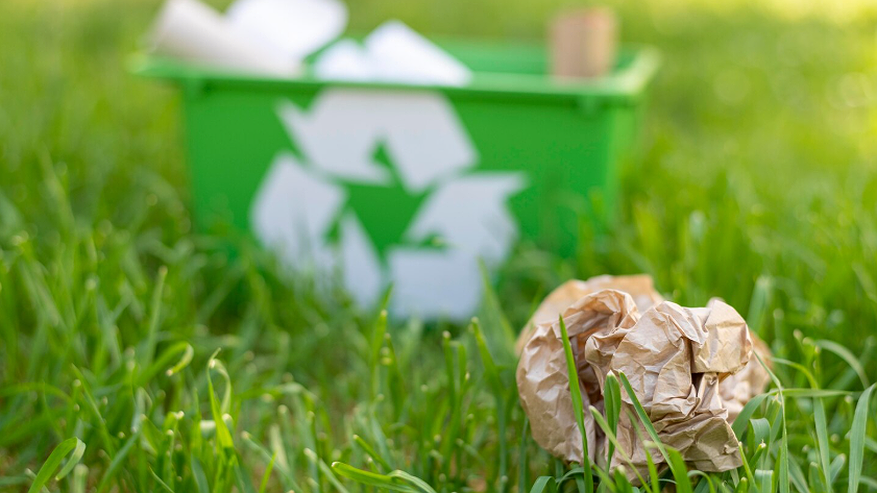 Главная картинка новости: Штраф 50000 рублей за костер на даче? 3 законных способа утилизации веток за 15 минут