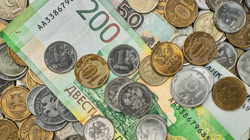 Главная картинка новости: В Воронежской области возбуждено уголовное дело из-за обмана при получении соцконтракта: женщина получила субсидию на кафе, скрыв свой реальный доход