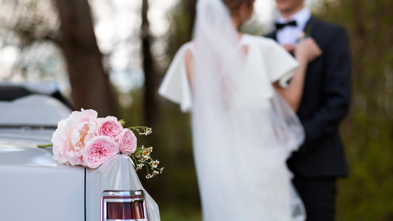 Главная картинка новости: Свадебный календарь-2026: данные ЗАГСа показывают, какие даты воронежские пары считают самыми красивыми