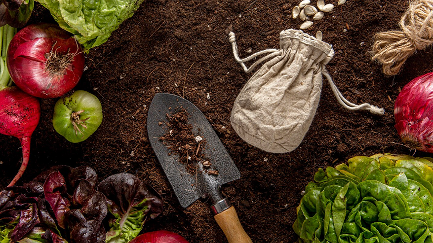 Главная картинка новости: Зимний секрет плодородия: как 3 обычные крупы готовят почву к урожаю