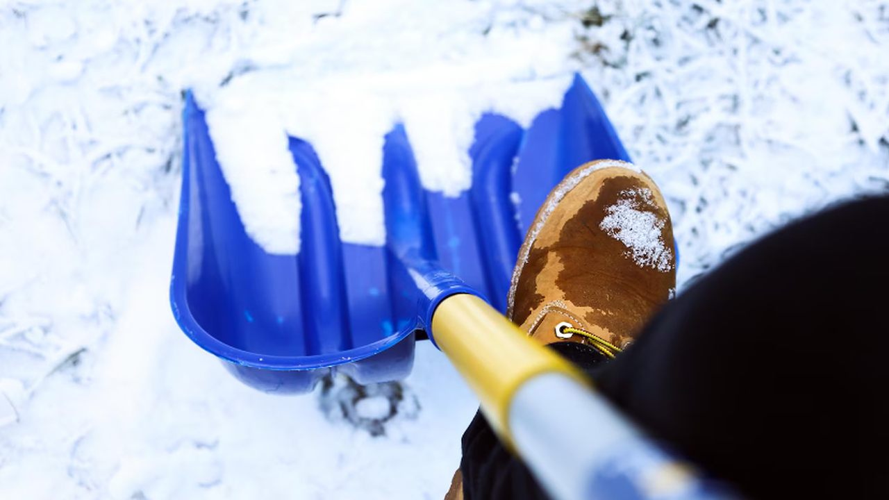 Главная картинка новости: Сергей Петрин объявил график вывоза снега в Воронеже. Что важно знать водителям?