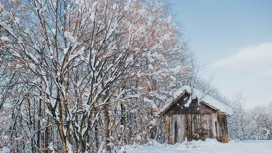 Главная картинка новости: Маленькое село на Оке, которое заметила ООН. Как живут люди в уникальной деревне Бёхово