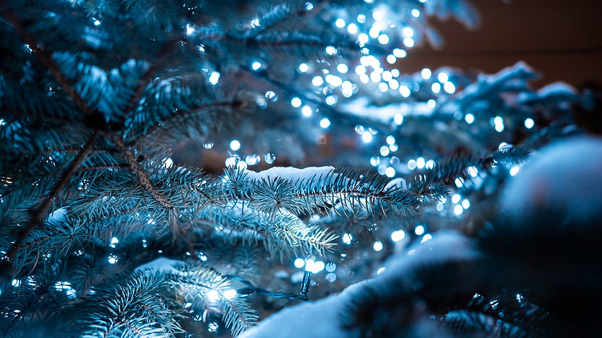 Главная картинка новости: Воронеж в числе городов с самой неблагоприятной погодой на Рождество