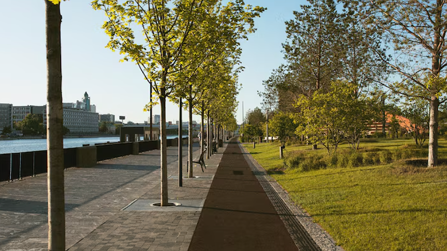 Главная картинка новости: Запущен масштабный проект по благоустройству Воронежской области: Мишустин выделил 628 млн рублей