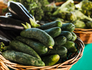 Каждый год покупаю семена огурцов: какие стоит выбрать в январе, чтобы летом не жалеть