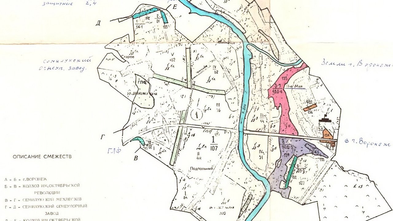 Главная картинка новости: Под Воронежем суд вернул государству 20 гектаров леса, незаконно проданных частникам