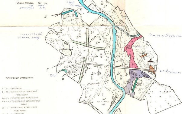 Под Воронежем суд вернул государству 20 гектаров леса, незаконно проданных частникам
