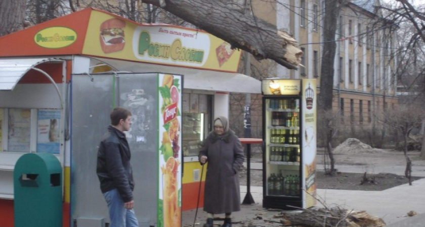 В районе СХИ дерево упало на торговый киоск