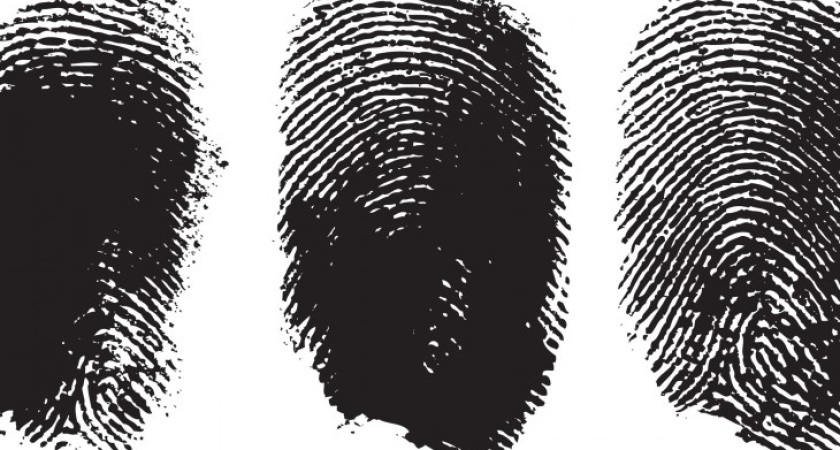 Автомобильного вора вычислили по отпечаткам пальцев