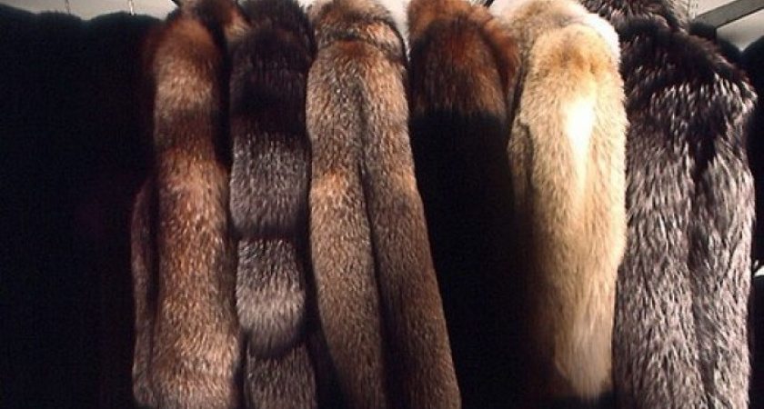 В Воронеже наворовали шуб на 5 млн рублей