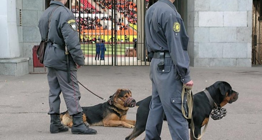 В Москве наша землячка искусала полицейского