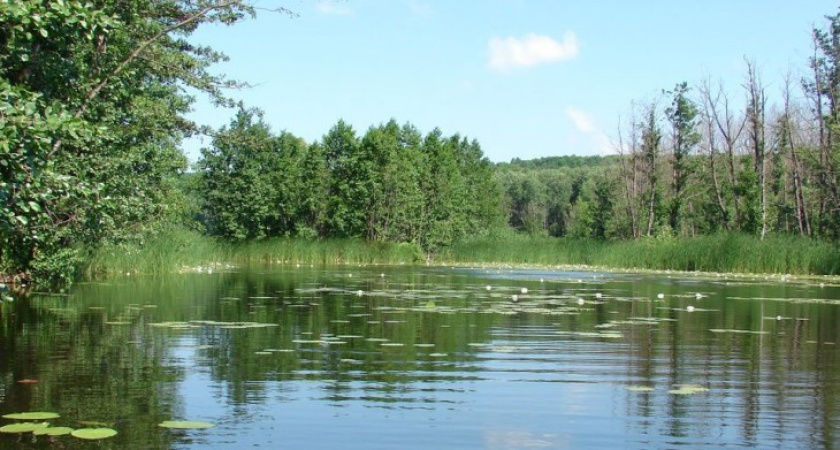 Под Воронежем за сутки утонули 2 человека