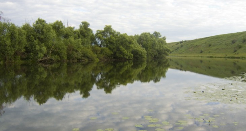 В Воронежской области утонули два человека