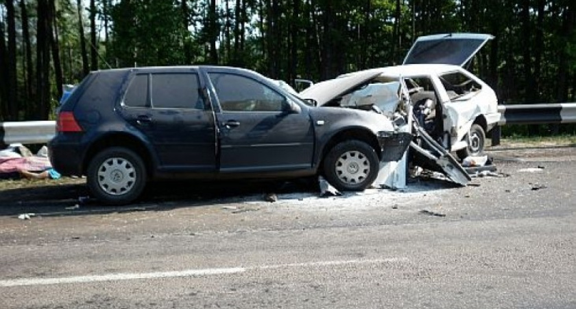На дорогах Воронежской области за выходные погибли 8 человек