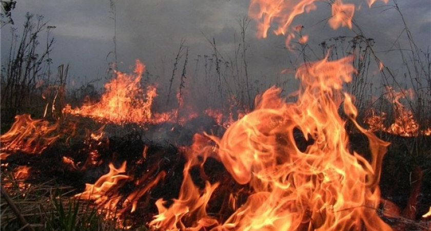 В Воронежской области один за другим вспыхивают природные пожары
