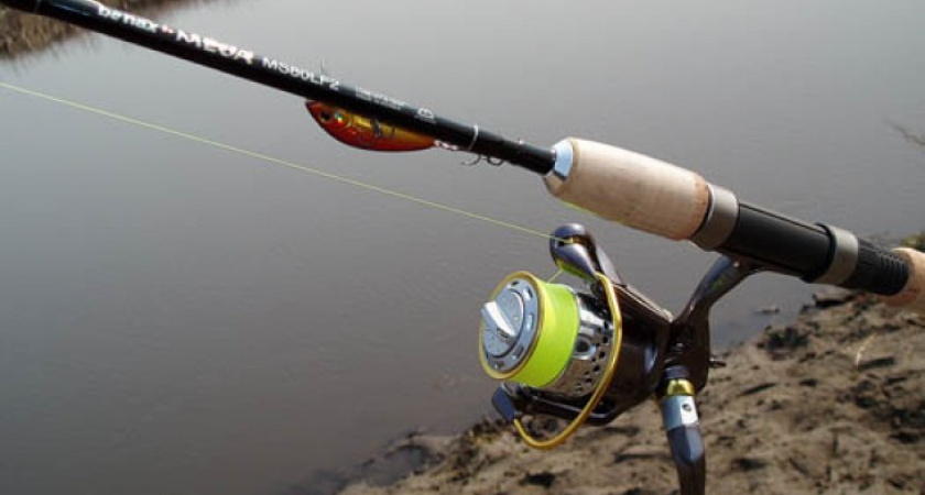 В Воронежской области рыбак ограбил администрацию платного пруда