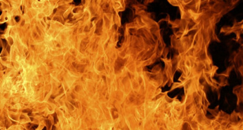 9 районов Воронежской области охвачены природными пожарами