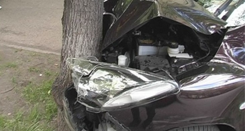 В Воронеже легковушка врезалась в дерево и сломала его